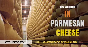 Parmesan Cheese: Dairy Content and Nutritional Insights Explained