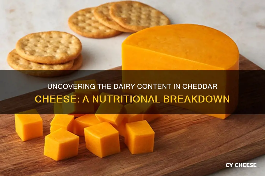 how much dairy is in cheddar cheese