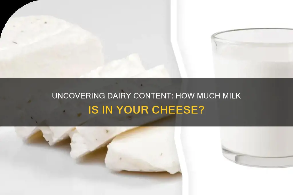how much dairy is in cheese