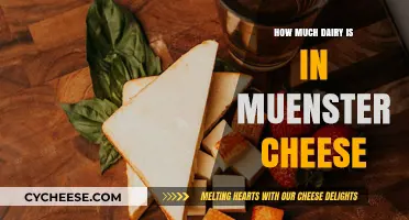 Muenster Cheese Dairy Content: Uncovering Milk-Based Ingredients and Percentages