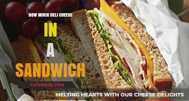Perfect Deli Cheese Portions for Your Ultimate Sandwich Satisfaction