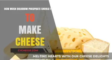 Disodium Phosphate in Cheese Making: Optimal Usage Guide