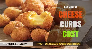 Cheese Curds Cost: Pricing Guide for Fresh and Squeaky Delights