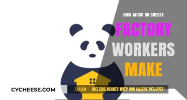 Cheese Factory Worker Salaries: Earnings and Job Insights Revealed