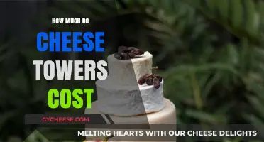 Cheese Towers Pricing Guide: Costs and Budgeting Tips Revealed