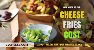Chili Cheese Fries Price Guide: Average Costs Across Popular Restaurants