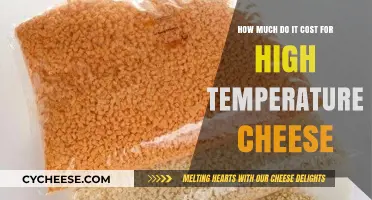 High-Temperature Cheese Costs: What You Need to Know