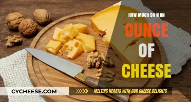 How Much Does an Ounce of Cheese Cost? A Price Guide