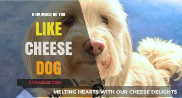 Cheese Dogs: A Tasty Treat or Overrated Snack?
