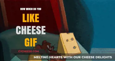 Cheese Lovers Unite: Expressing Your Love with the Perfect GIF