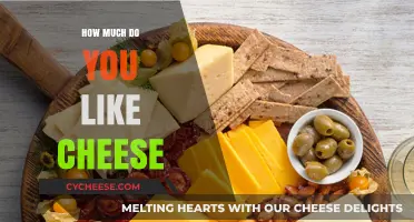 Cheese Lovers Unite: Exploring Our Obsession with This Dairy Delight