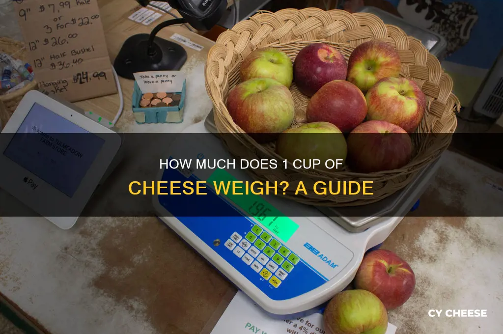 how much does 1 cup cheese weigh