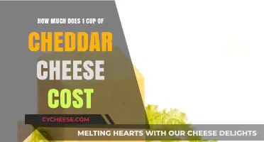 Cheddar Cheese Cost: Uncovering the Price of 1 Cup Today