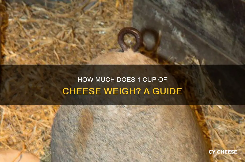 how much does 1 cup of cheese weigh