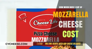Mozzarella Cheese Price Guide: Cost of 1 Cup Revealed