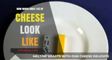 Visual Guide: What 1 Ounce of Cheese Looks Like in Real Life