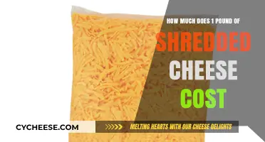 Shredded Cheese Price Guide: Cost of 1 Pound Revealed