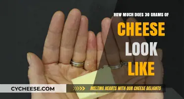 Visual Guide: What 30 Grams of Cheese Looks Like on Your Plate