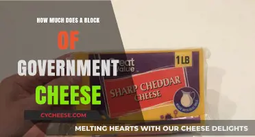 Government Cheese Cost: Uncovering the Price of a Block Today