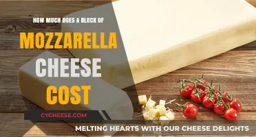 Mozzarella Cheese Block Pricing: Costs and Factors to Consider