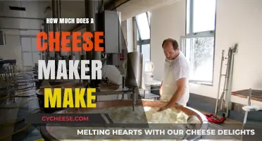 Cheese Maker Salaries: Earnings, Factors, and Industry Insights Revealed
