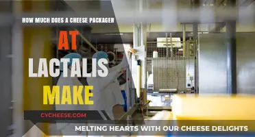 Cheese Packager Salary at Lactalis: What to Expect