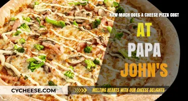 Papa John's Cheese Pizza Price: A Complete Cost Breakdown