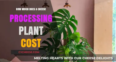 Cheese Processing Plant Costs: Factors, Estimates, and Investment Insights