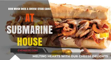 Cheese Steak Price at Submarine House: What to Expect
