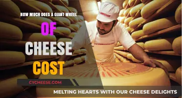 Giant Cheese Wheels: Uncovering the Surprising Cost of This Culinary Delight