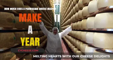 Parmesan Cheese Master Salary: Annual Earnings and Career Insights