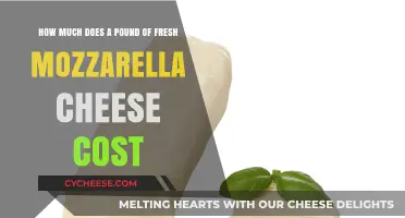 Fresh Mozzarella Cheese Price: Cost of a Pound in 2023