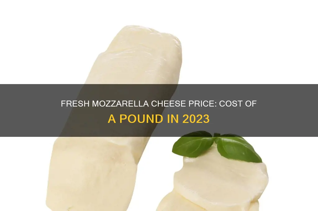 how much does a pound of fresh mozzarella cheese cost