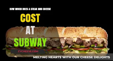 Subway Steak and Cheese Price: Cost Breakdown and Value Analysis