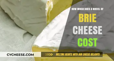 Brie Cheese Wheel Price Guide: Costs and Factors Explained