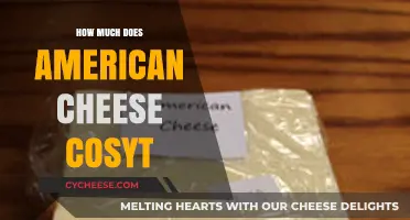 Understanding the Cost of American Cheese: Factors and Pricing Guide