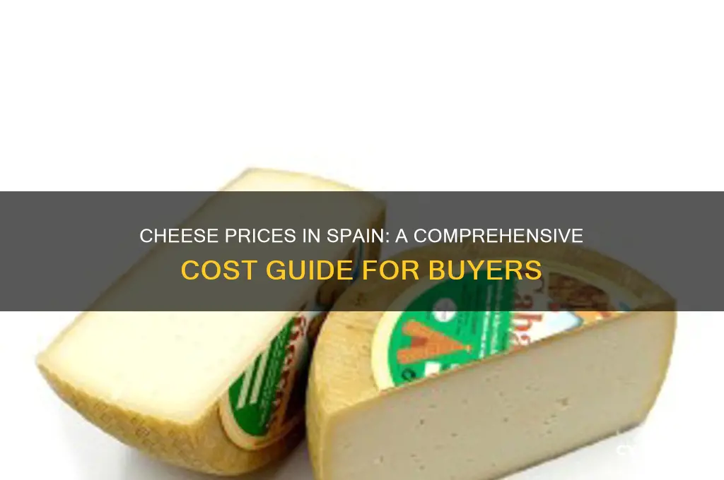 how much does cheese cost in spain