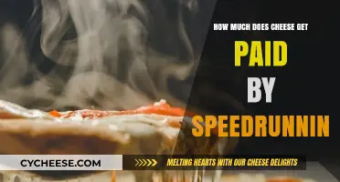 Cheese's Earnings: Unveiling Speedrunning Profits and Sponsorship Deals