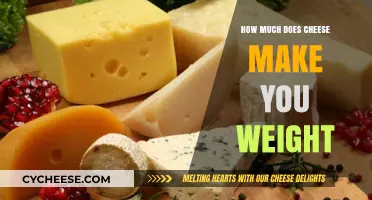 Cheese and Weight Gain: How Much Impact Does It Really Have?