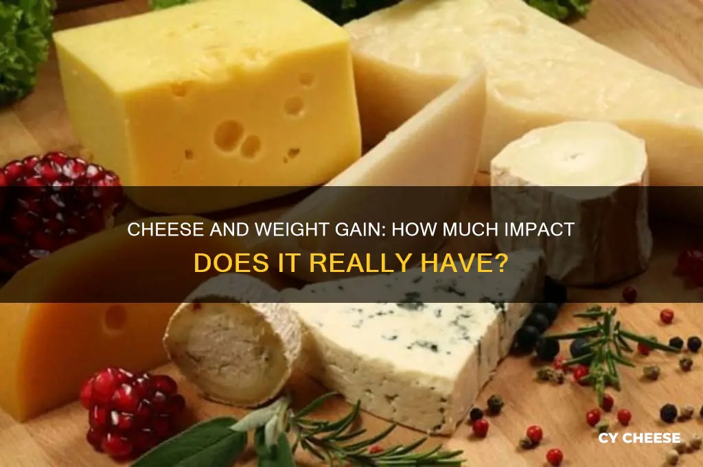 how much does cheese make you weight