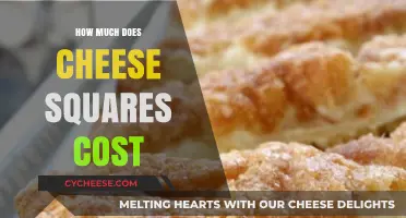 Cheese Squares Cost Guide: Pricing Factors and Budget-Friendly Options