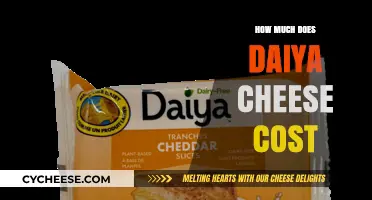 Daiya Cheese Price Guide: Cost Breakdown and Budget-Friendly Tips
