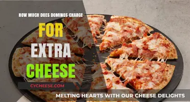 Extra Cheese at Domino's: Cost and Value Explained