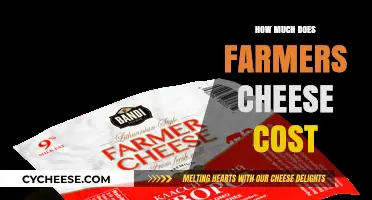 Farmers Cheese Cost Guide: Pricing, Factors, and Budget-Friendly Tips