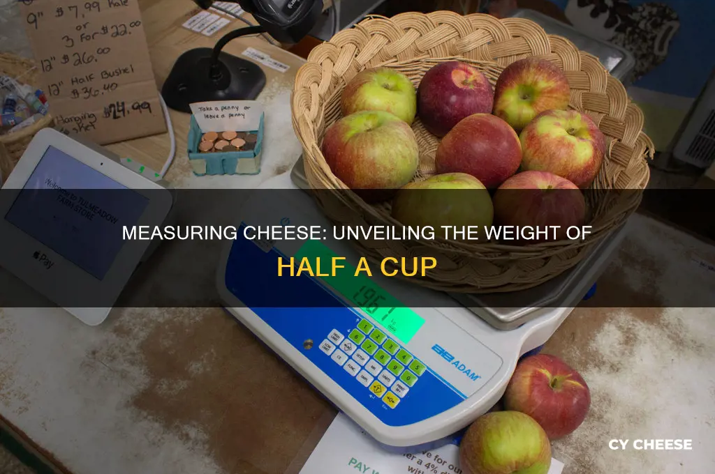 how much does half a cup of cheese weigh
