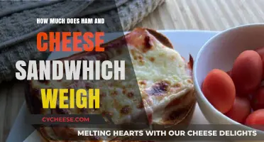 Ham and Cheese Sandwich Weight: A Detailed Measurement Guide