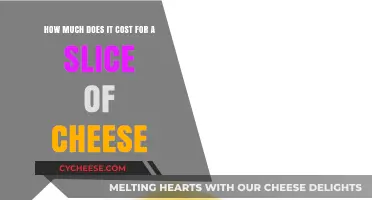 The Surprising Cost of a Slice of Cheese: Budget Breakdown