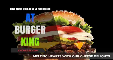 Burger King Cheese Costs: A Breakdown of Pricing and Options