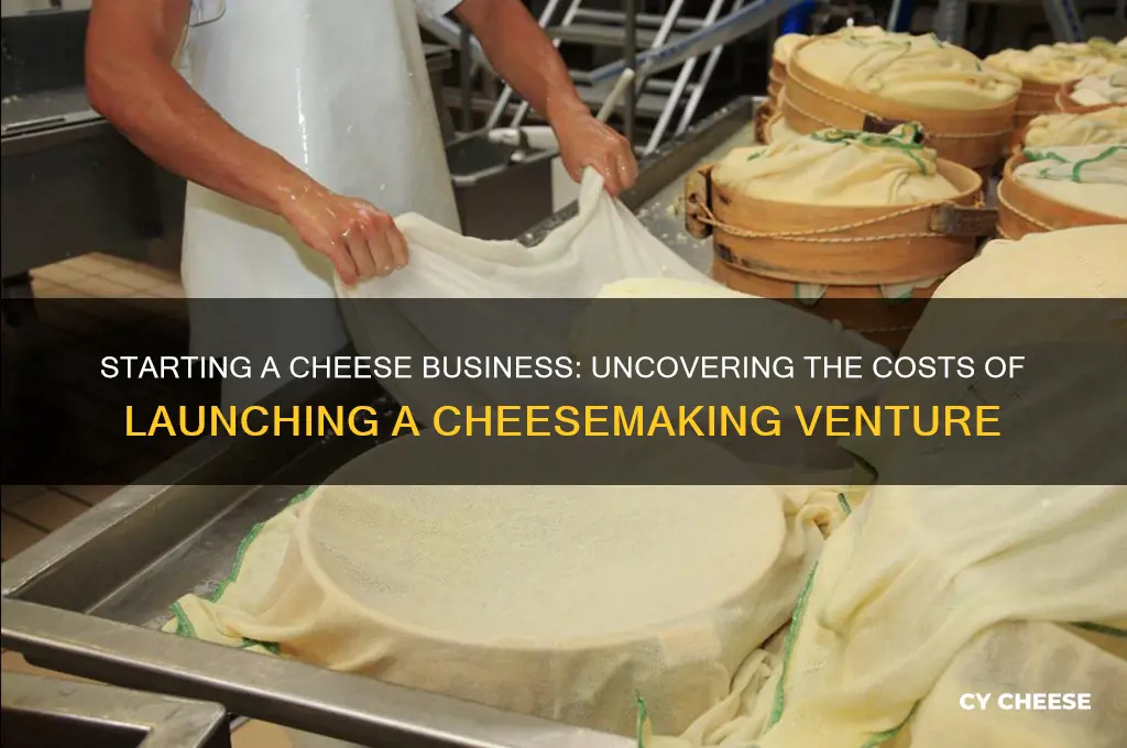 how much does it cost to start a check cheese