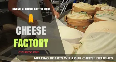 Starting a Cheese Factory: Understanding the Initial Investment Costs